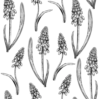 Hand-drawn grape hyacinth background design. Vintage woodland flowers sketches. Seamless spring pattern. Forest plant and wild flowers illustration for print. Vintage muscari decorative backdrop.